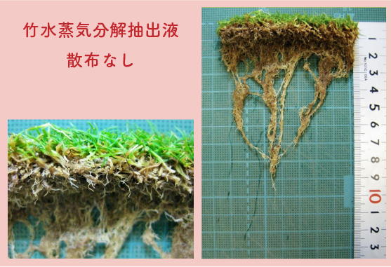 アグレコジャパンの抗酸化土壌改良材リゾノイドの実験