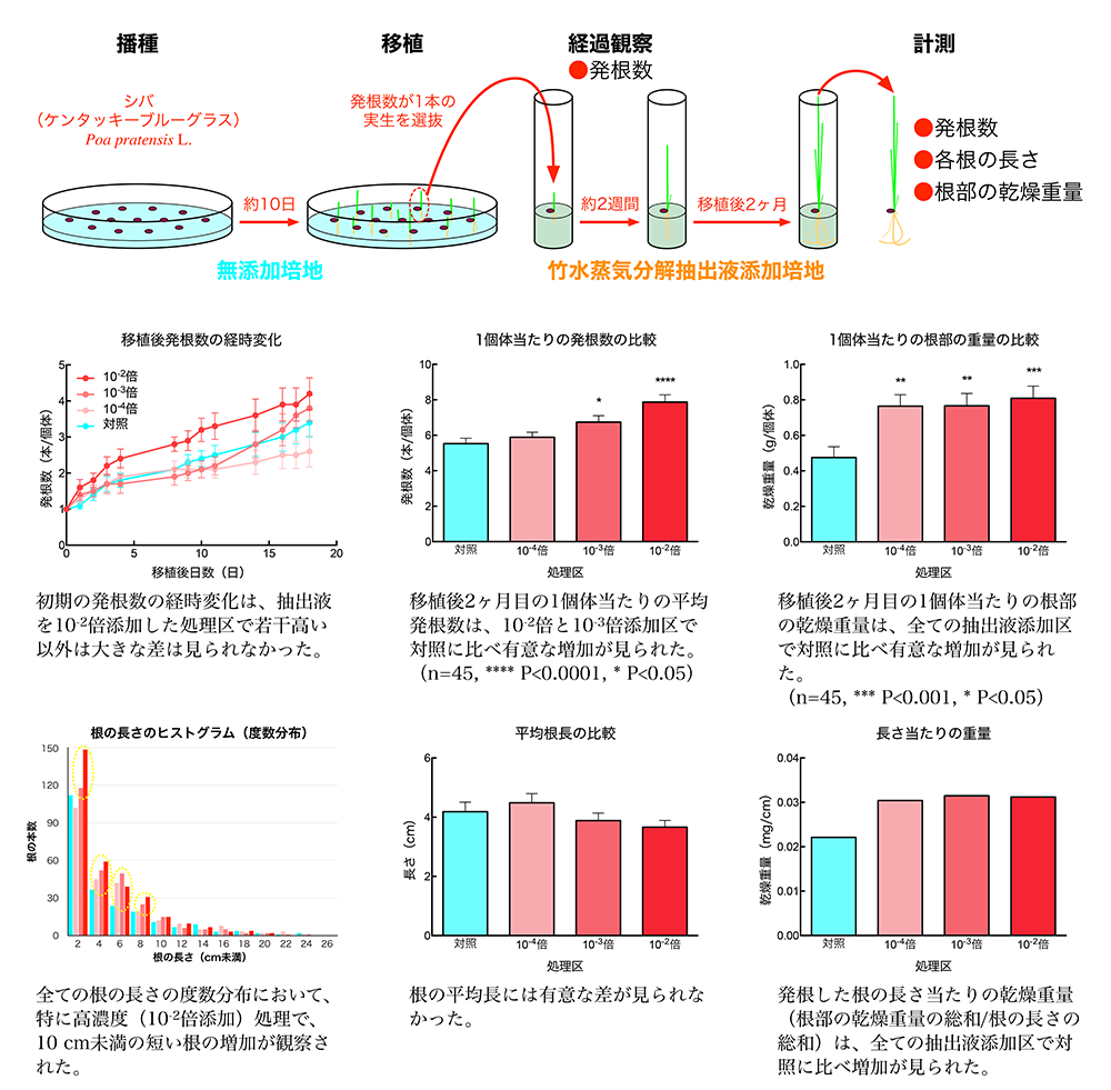 アグレコジャパンの抗酸化土壌改良材リゾノイドの実験11